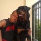 mi gordo y yo , un dia de vacas.